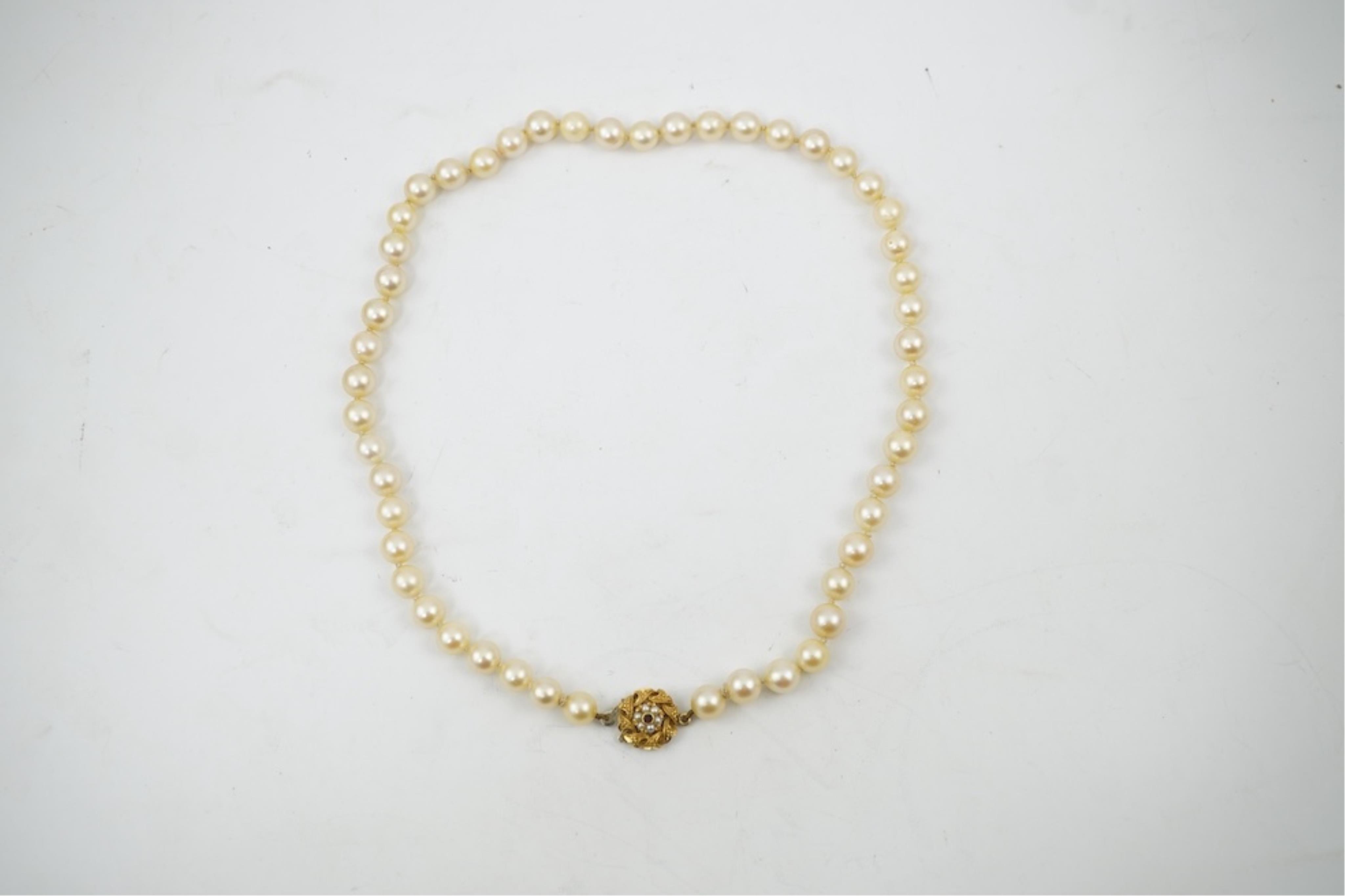 A single strand cultured pearl necklace, wit an 18ct gold, ruby and seed pearl cluster set clasp, 40cm.